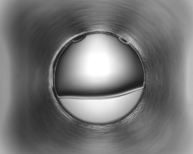 X0000093761132200710160830