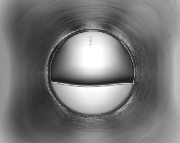 X0000093761133200710160830