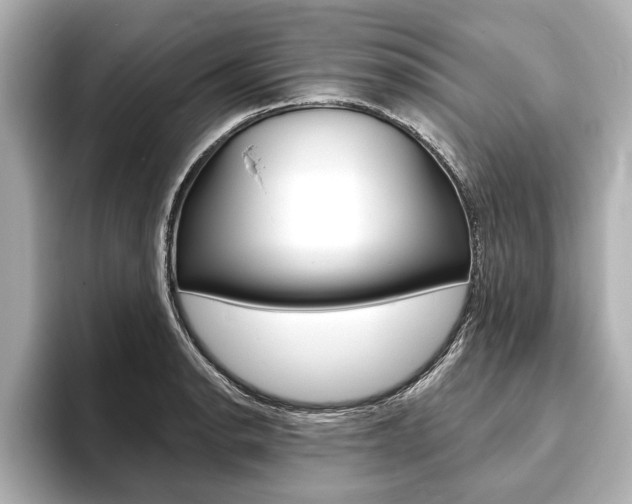 X0000093761134200710160830