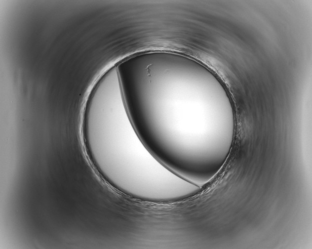 X0000093761136200710160830