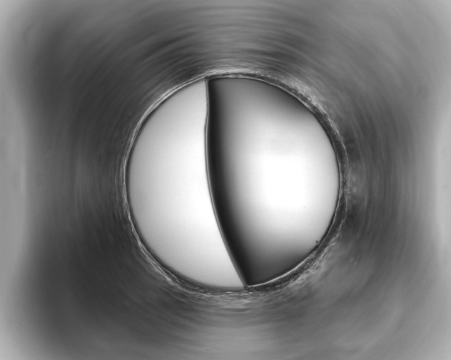 X0000093761137200710160830