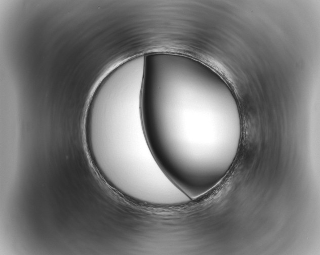 X0000093761138200710160830