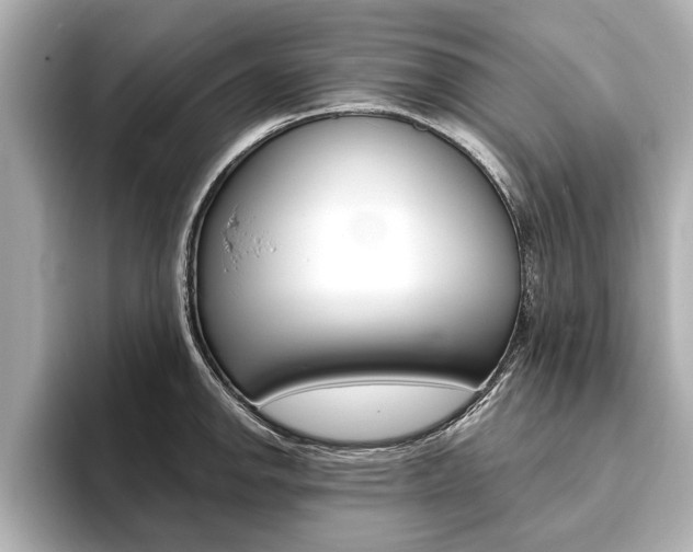 X0000093761142200710160830