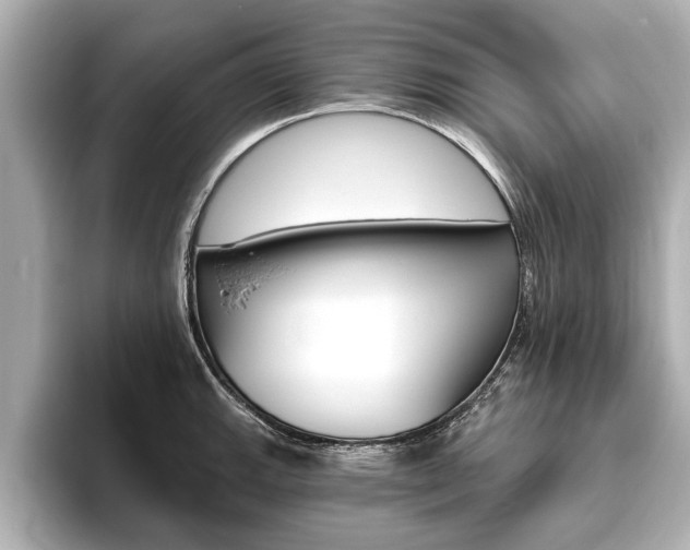 X0000093761143200710160830