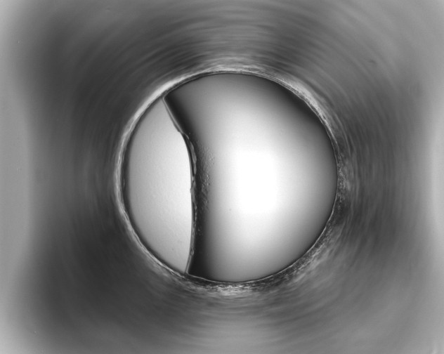 X0000093761147200710160830