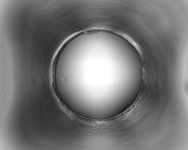 X0000093761148200710160830