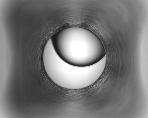 X0000093761153200710160830