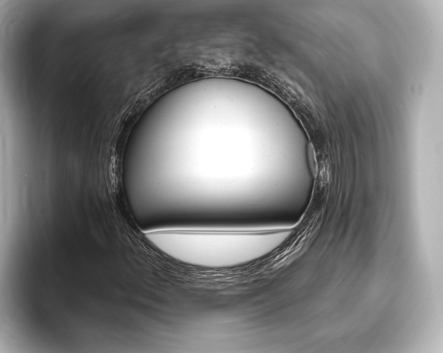 X0000093761156200710160830