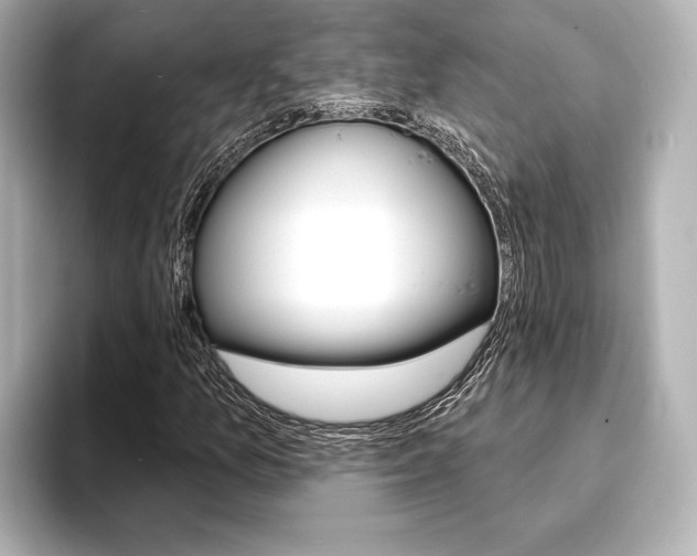 X0000093761157200710160830