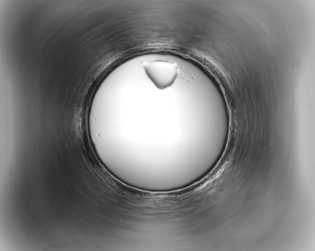 X0000093761162200710160830