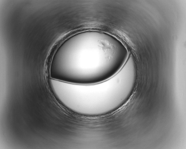 X0000093761164200710160830