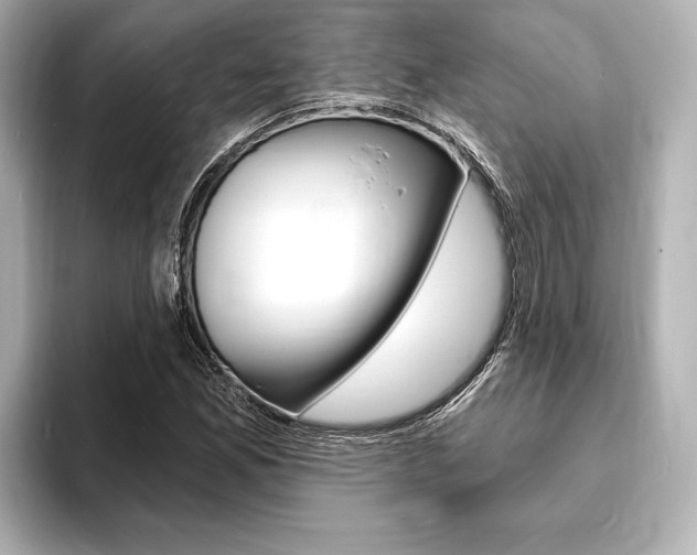 X0000093761165200710160830