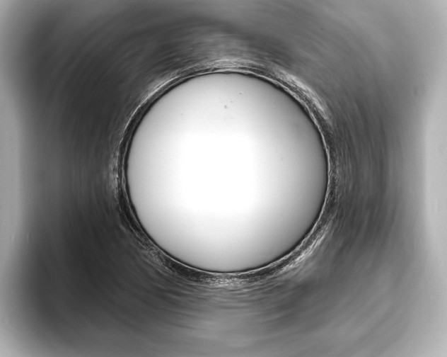 X0000093761170200710160829