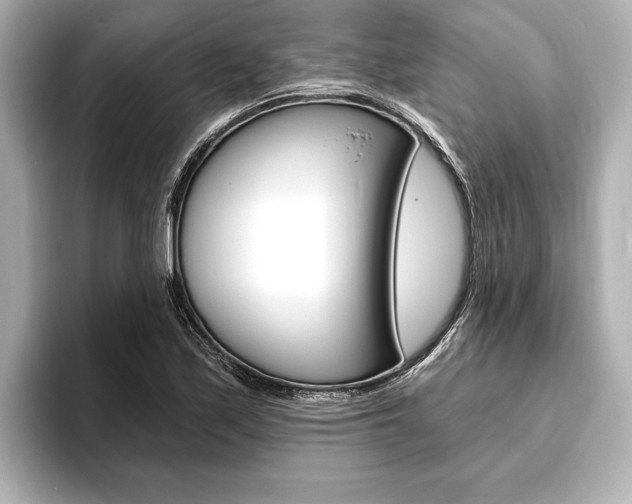 X0000093761171200710160829