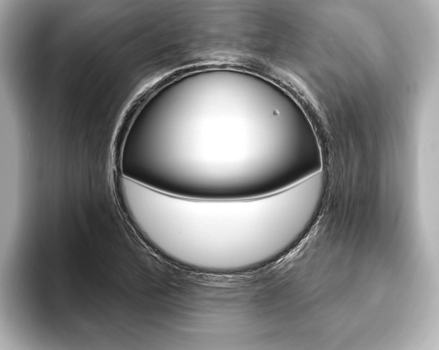 X0000093761172200710160829