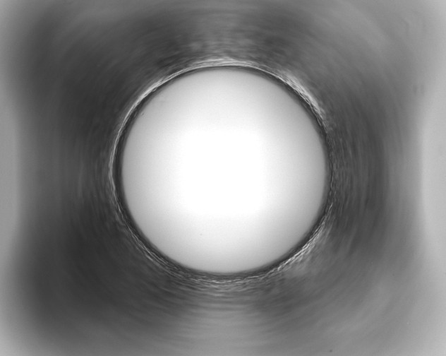X0000093761173200710160829