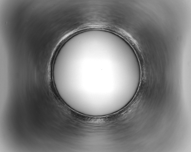 X0000093761174200710160829