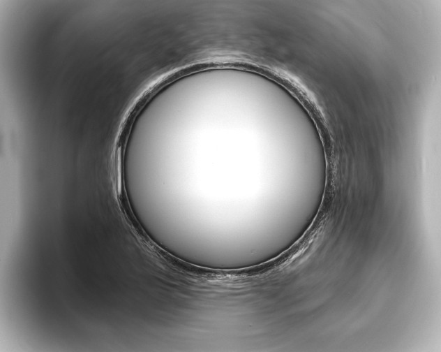 X0000093761175200710160829
