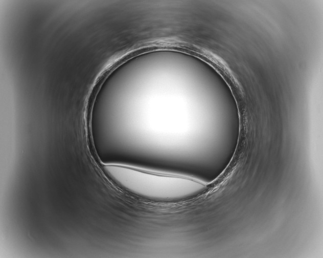 X0000093761176200710160829