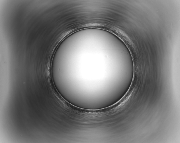 X0000093761177200710160829