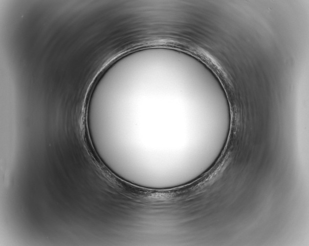 X0000093761178200710160829