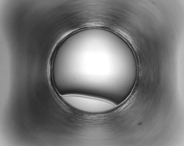 X0000093761179200710160829