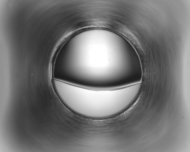 X0000093761180200710160829