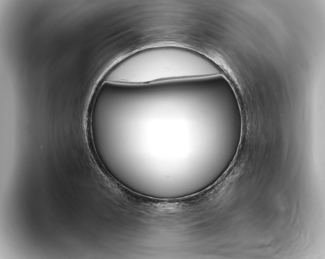 X0000093761181200710160829