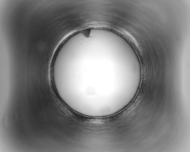 X0000093761182200710160829