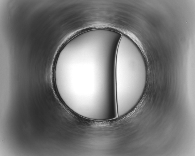 X0000093761183200710160829