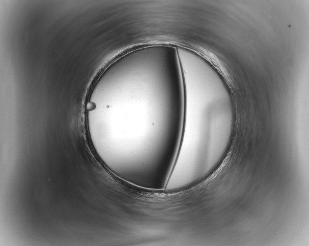 X0000093761184200710160829
