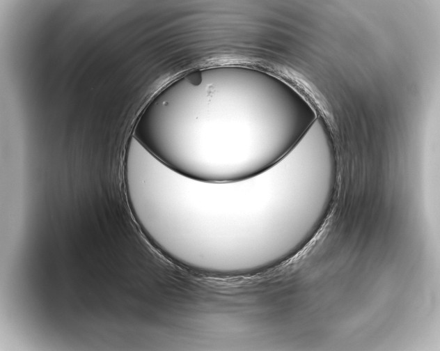 X0000093761185200710160829