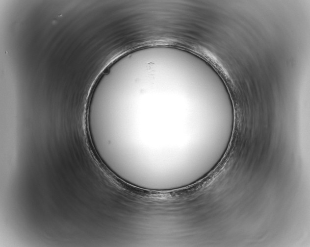 X0000093761186200710160829