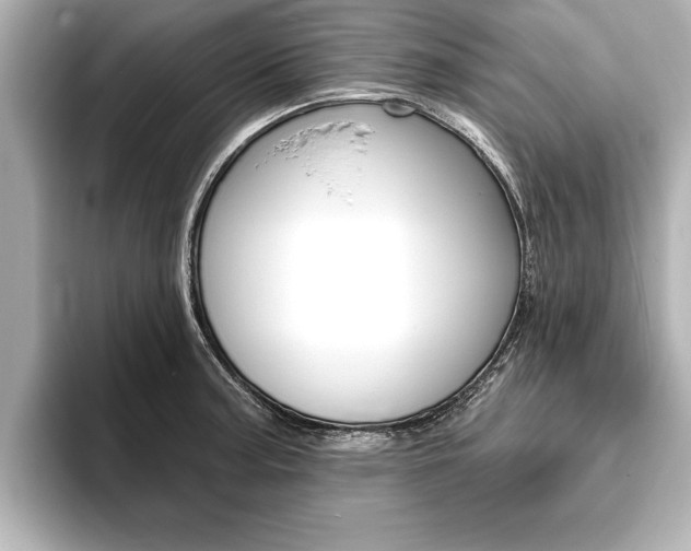 X0000093761187200710160829