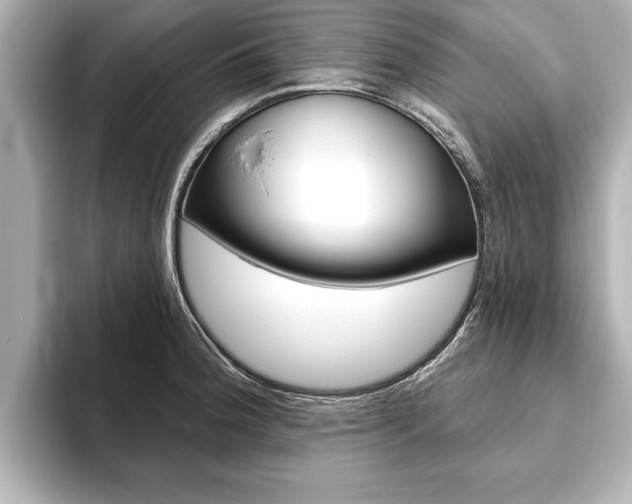 X0000093761188200710160829
