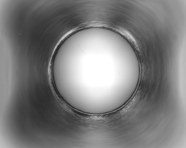 X0000093761190200710160829