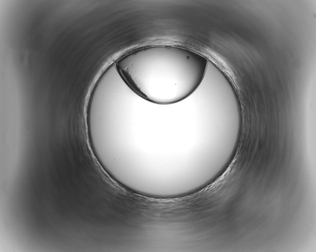 X0000093761192200710160829