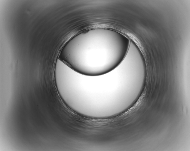 X0000093761193200710160829