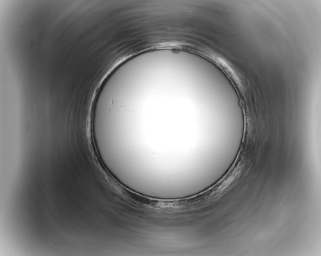 X0000093761194200710160829
