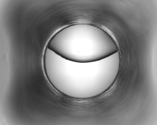 X0000093761195200710160829