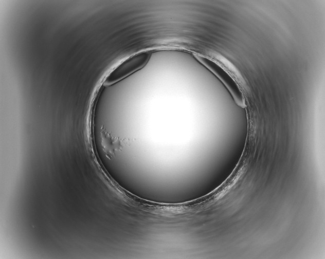X0000093761196200710160829