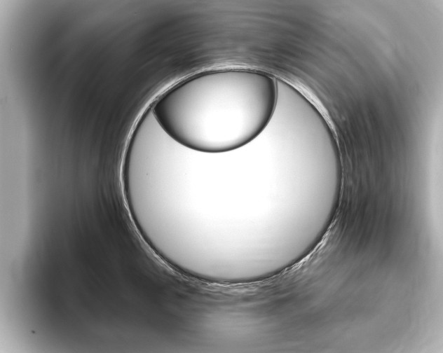 X0000093761197200710160829