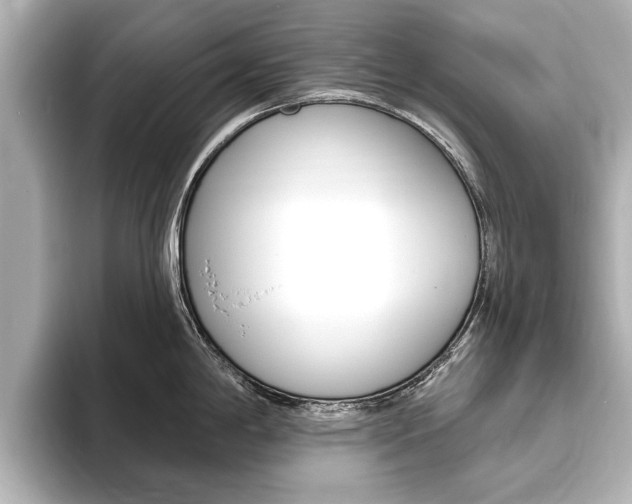 X0000093761198200710160829