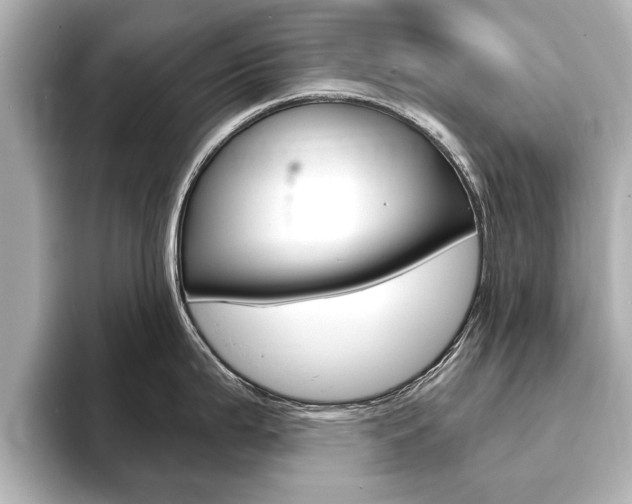 X0000093761199200710160829