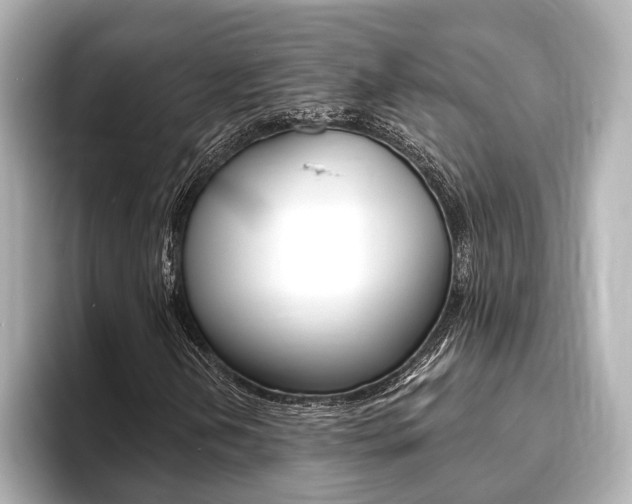 X0000093761202200710160828