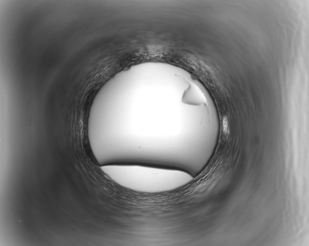 X0000093761203200710160828