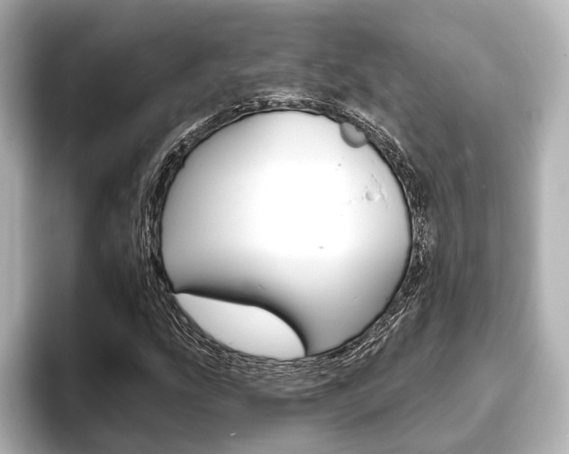 X0000093761207200710160829