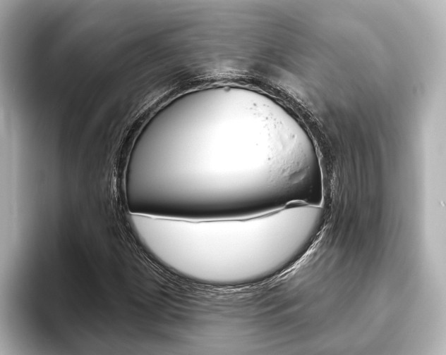 X0000093761209200710160829