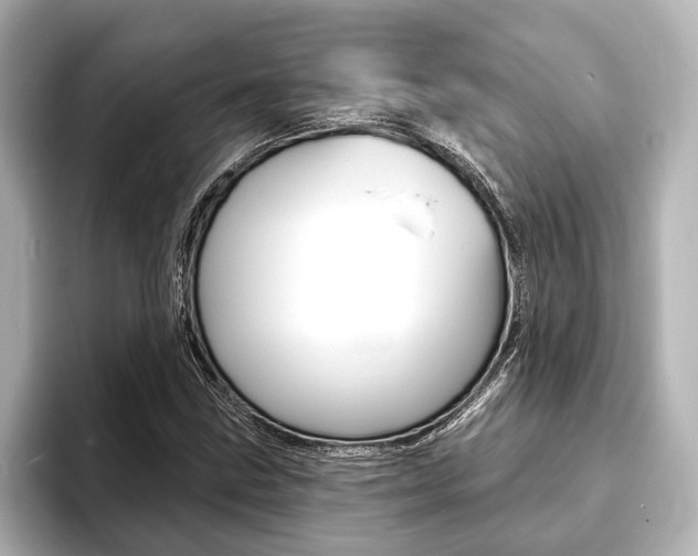 X0000093761211200710160829