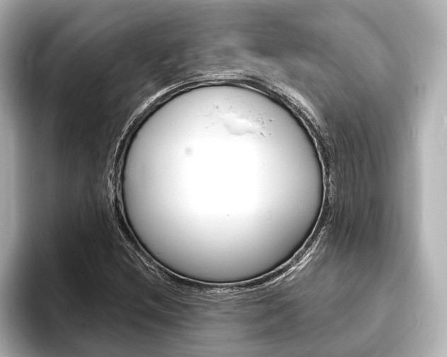 X0000093761212200710160829